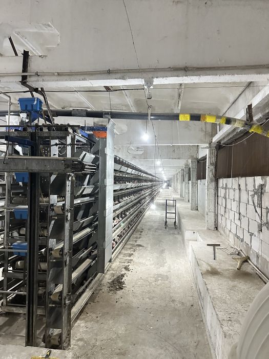 Продается ферма 2 гектар Земля помещение