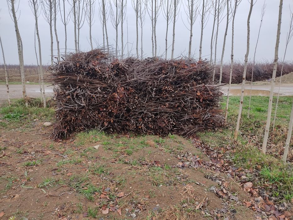 Утинлар сотилади срочно.