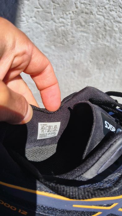 Asics GT-2000 12 (42)