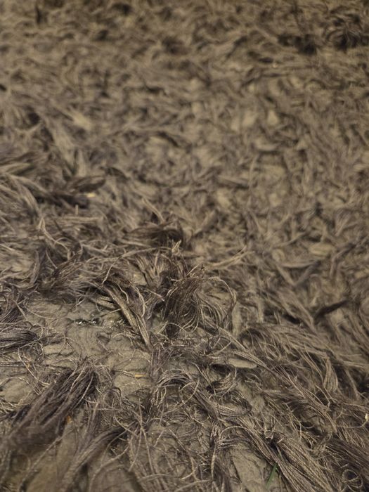 Covor fir lung 160× 230