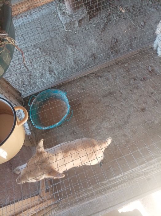 150000.. ешкииилер