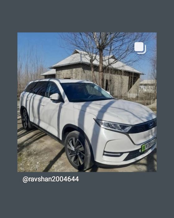 Oshan x7 eliktra mabel