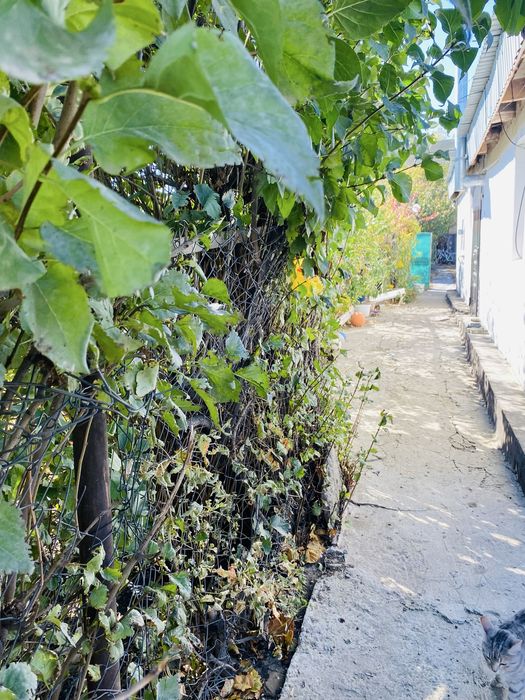 Продам частный дом