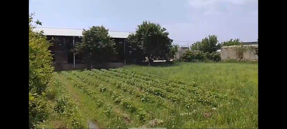 Navoiy viloyati,Qiziltepa tumani,Malikobod qishloğida hovli sotiladi