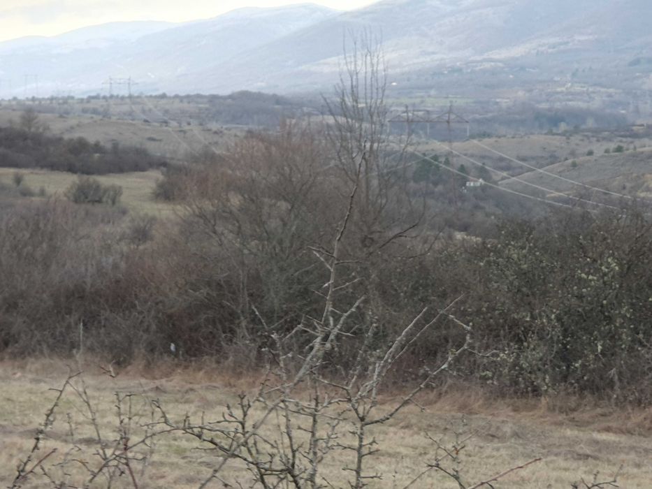 Продава се Земеделски имот в София, Витоша -  кв.м за 322 €/дка - Снимка #6