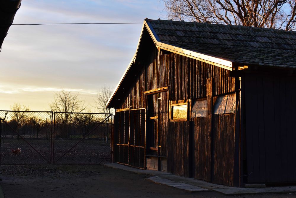 Fotograf evenimente, SEDINTE