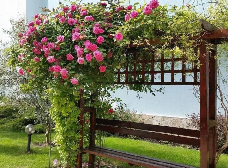 Запази своята лятна почивка сега!