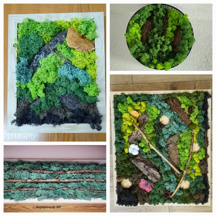 Картини със скандинавски мъх