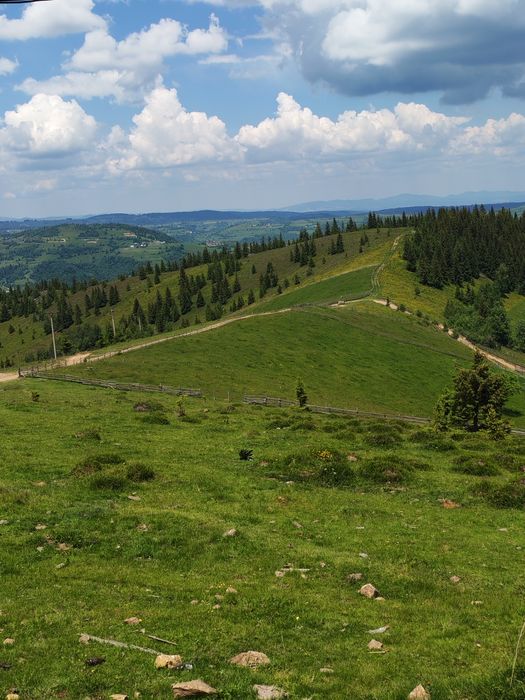 Teren intravilan