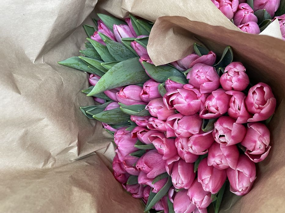 Тюльпан цветы луковицы