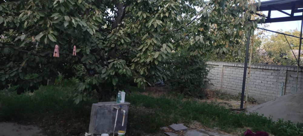 11.132 сотик Ҳовли сотилади