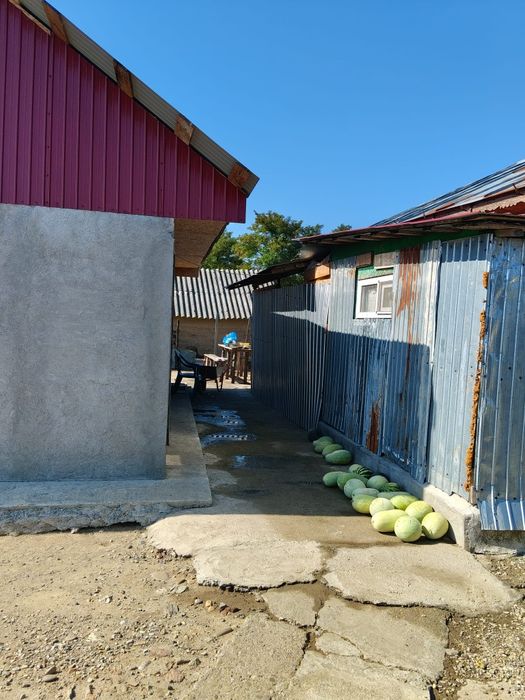 Casă de vânzare , 4 camere, 2 holuri
