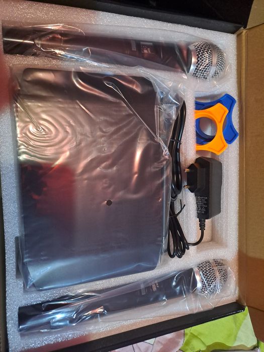 Set 2 buc microfoane