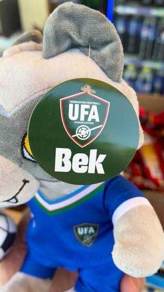 Волчонок Бек UFA