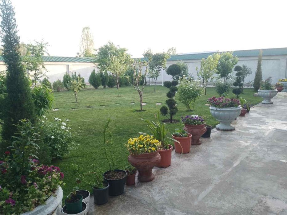 Toshkent viloyati Yangiyoʻl tumani Chamanzor maxallasi 161 uy 9sotix