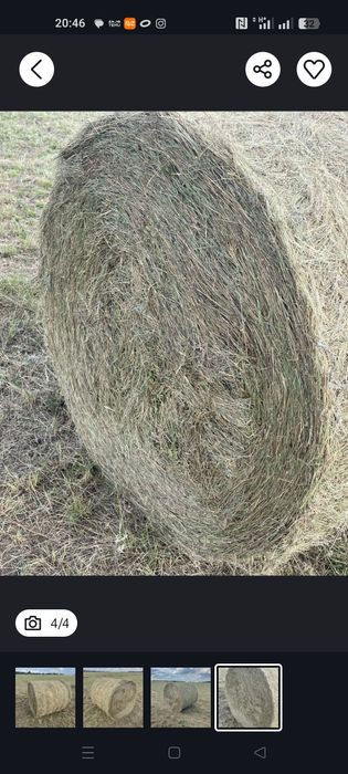 Сено в рулонах 230 - 250 кг