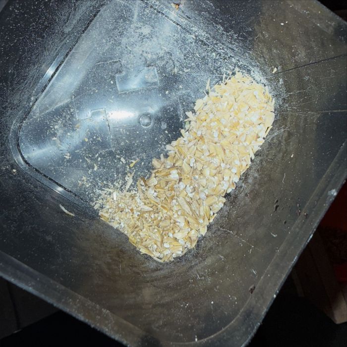 Арпа (ячмень), бидай (пшеница) , сечка сатылады