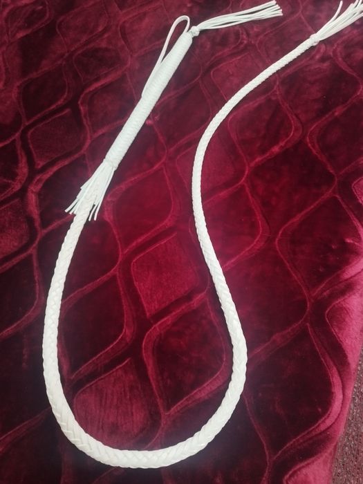 Арапник.   Кнут.   Бич