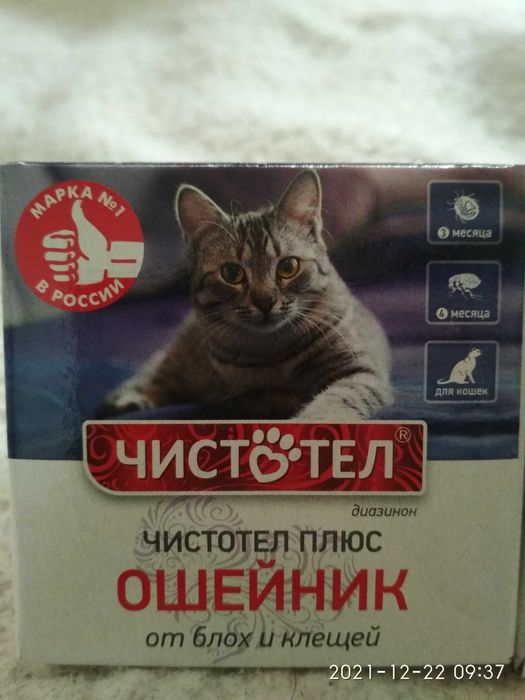 Лотки шлейка миски наполнитель