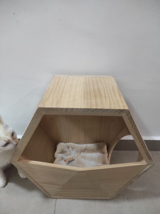 Suspended Wall-House for Cats
