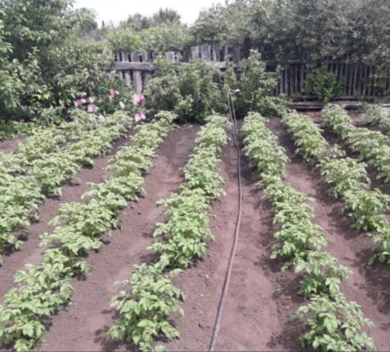 Продам дачу в Рудном