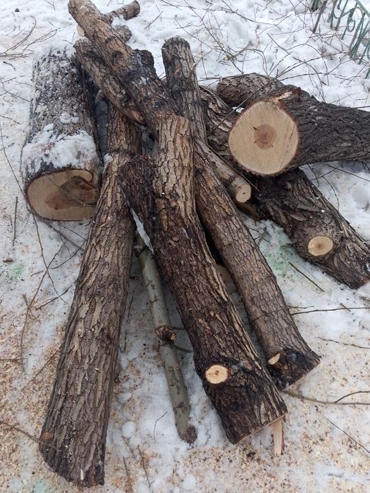 Продам дрова не дорого