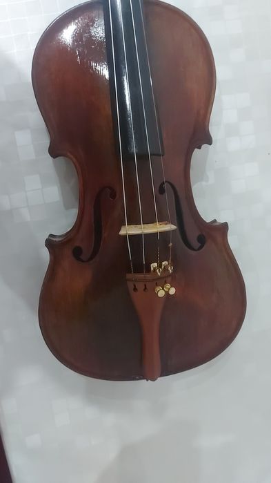 Vioara Nemeș Sonii Samuiel