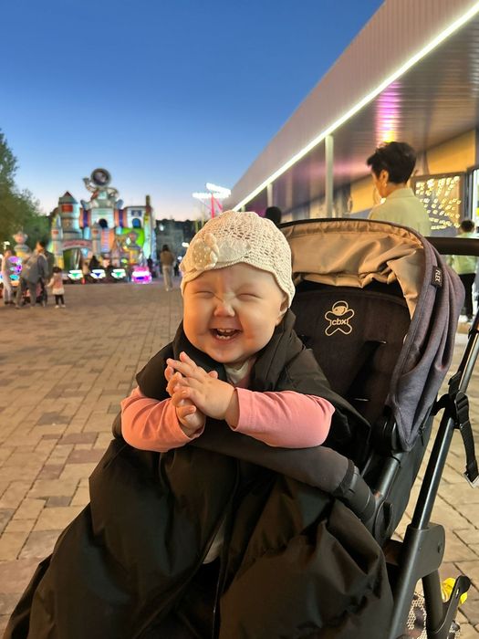 Коляска Cybex CBX Leotie Flex