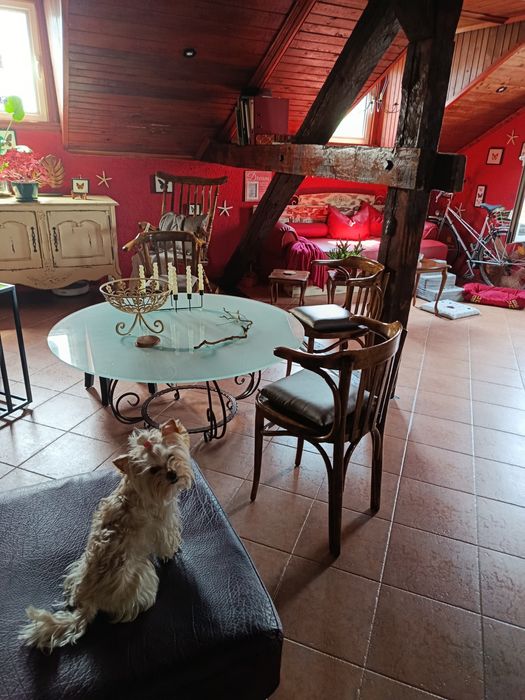 Столове Тонет,реставрирани