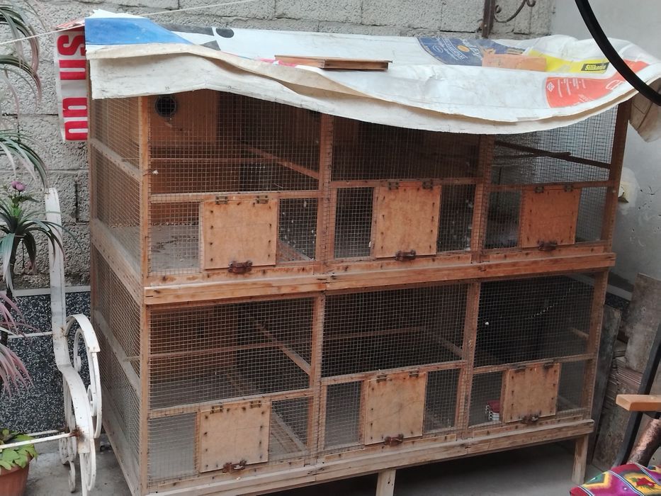 Qushlar uchun katak sotiladi