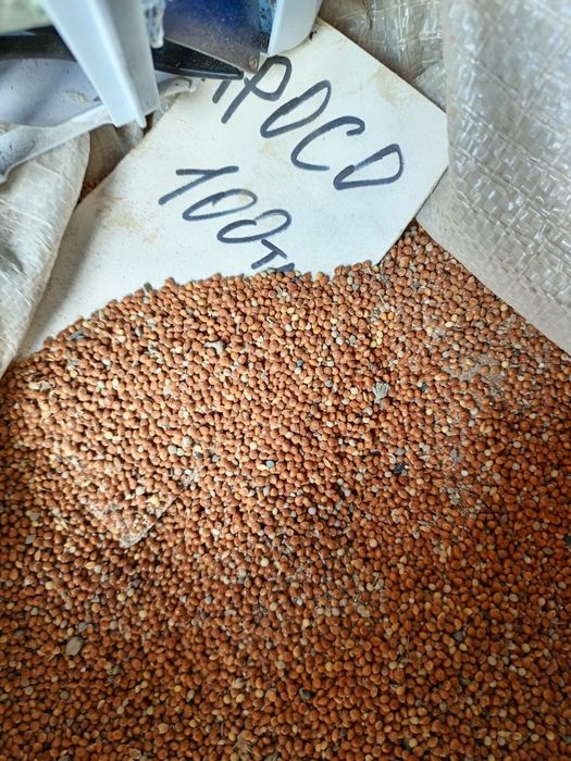 Корма для собак Костанай