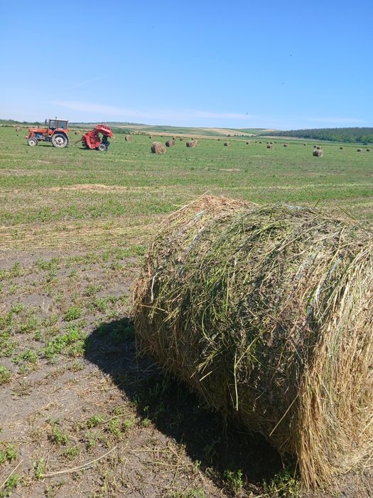 Baloți rotunzi de vânzare