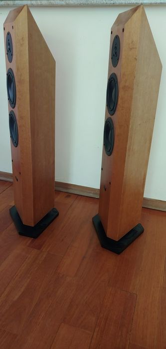 Тонколони Dynaudio Facette