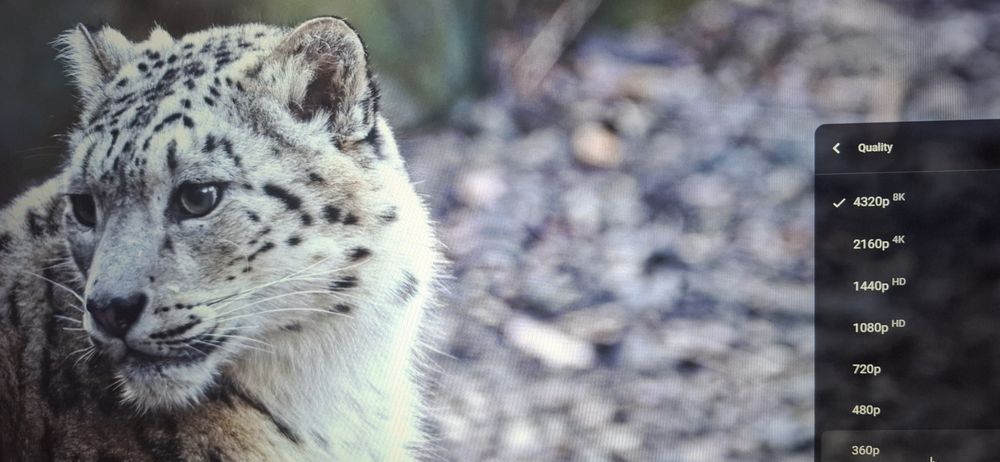 8К Лаптоп Мобилна Работна Станция Lenovo ThinkPad P14S GEN2