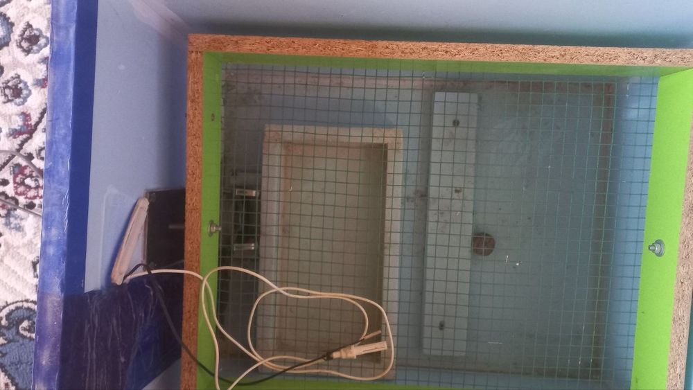 Inkubator sotiladi 100 talik bir maratta ishlatilgan