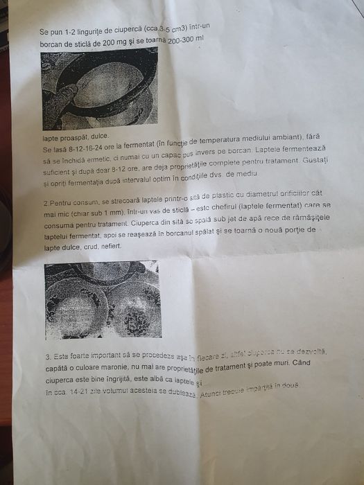 Vand ciuperca de kefir de lapte 1 lingura