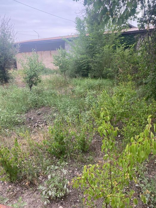 Продам дом в Бахаре