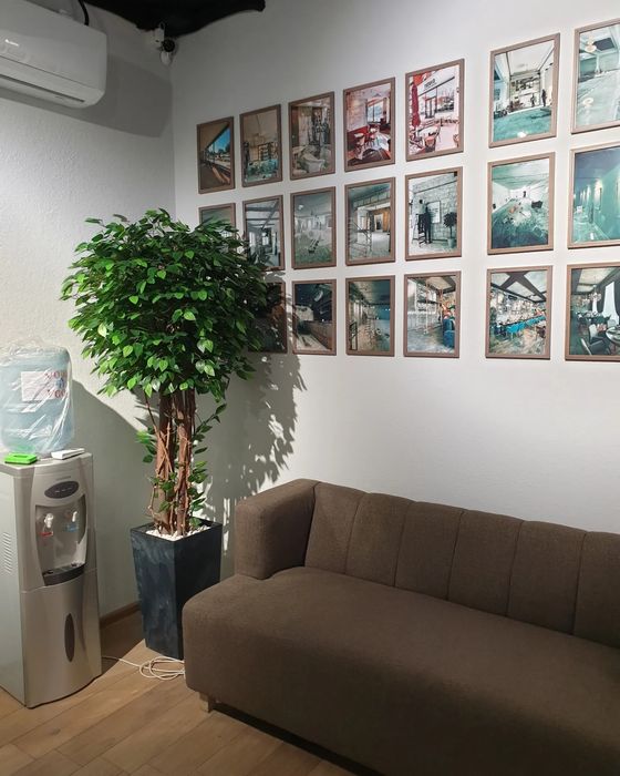 Искусственные Деревья (Костанай )