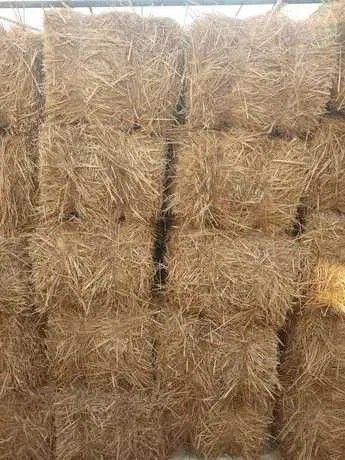 Sotiladi 23000dan somon pres