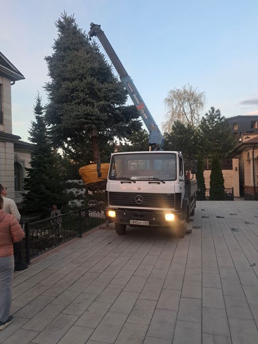 Услуги Манипулятора Алматы
