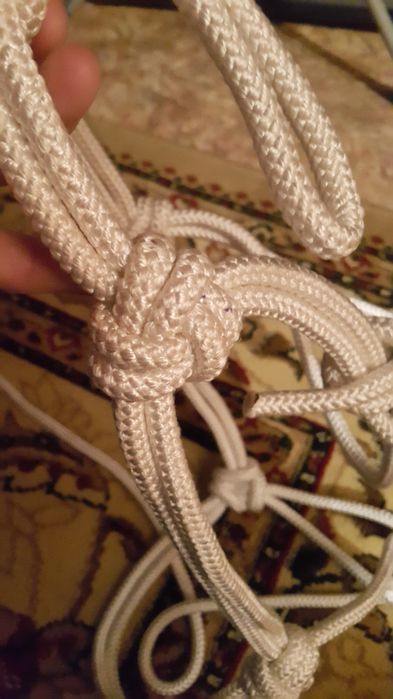 Түйілген мықты ноқта