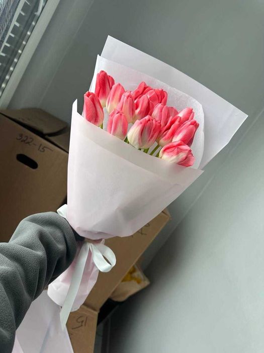 Тюльпаны оптом беллорусь