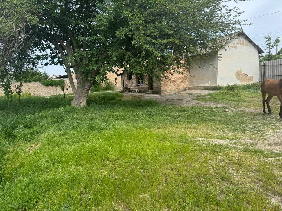 Nazarbek tarnov Uy sotiladi