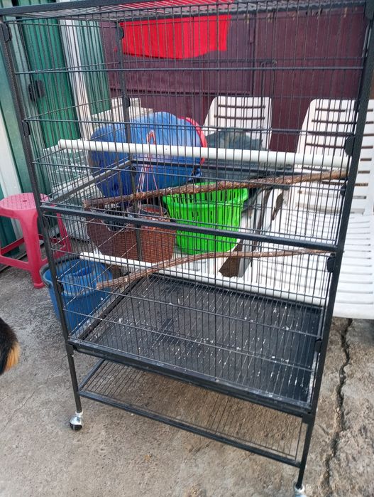 Colivie voliera cușcă papagali