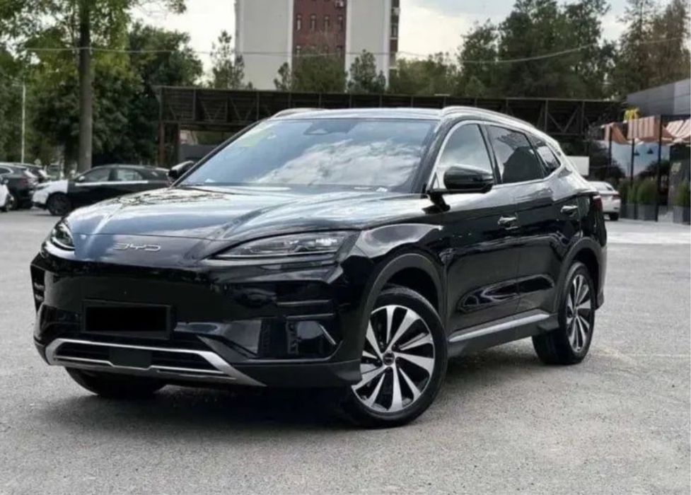 Byd chempion 2024