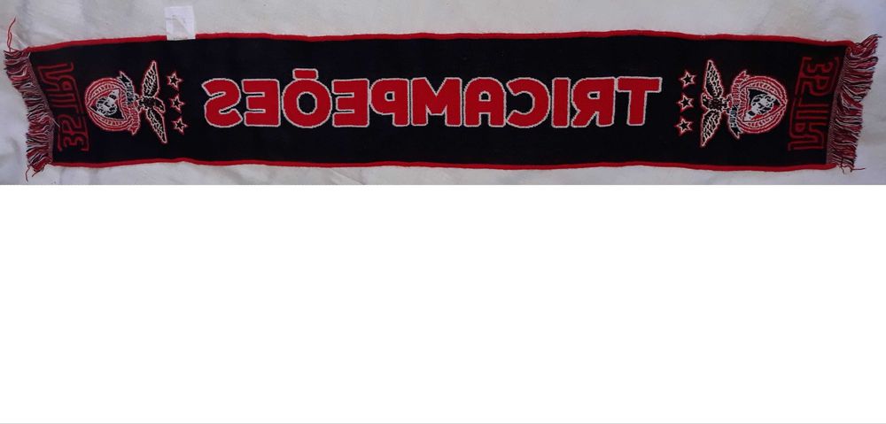 Шал на футболен клуб Бенфика