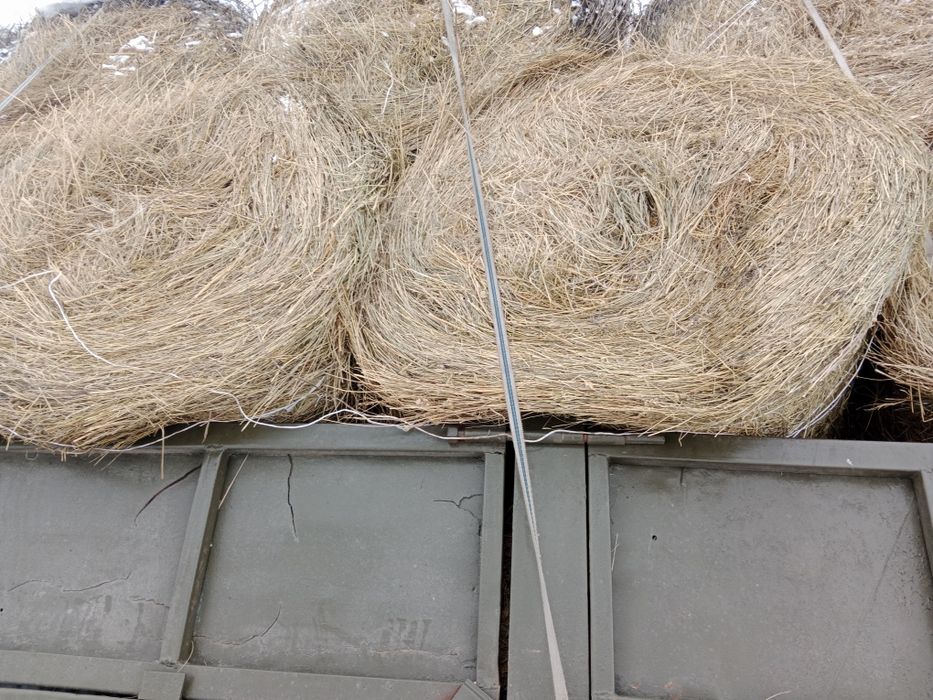 Продам сено разнотравия руллонах зелёный