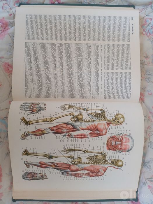 Популярная Медицинская Энциклопедия