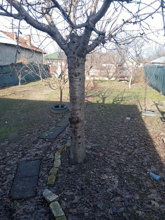 Vând teren în stlpu buzau