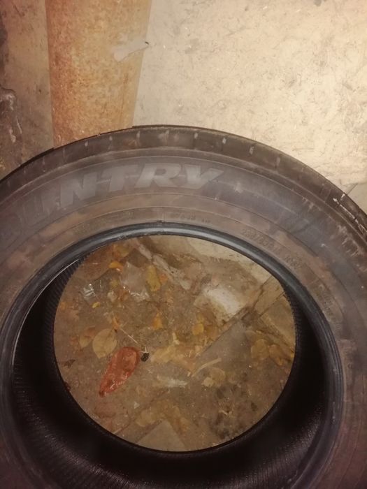 1 баллон новый не дорого,